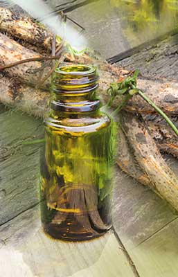 Can Wild Yam Root Help Menopause Symptoms? 1