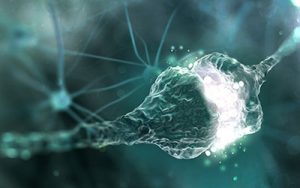 Andropause and Its Effect on Cognitive Function