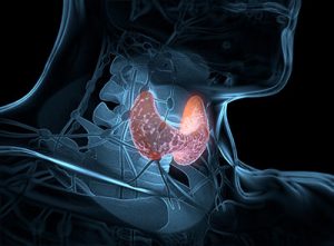 Thyroid Health and the Impact on Aging