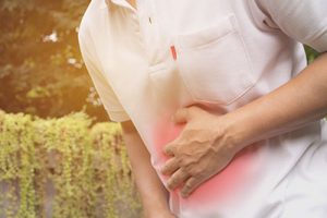 Gut Microbiome and the Link to Healthy Aging 2