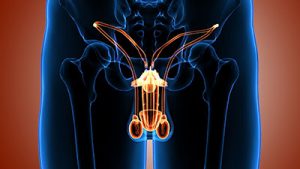 Everything You Need to Know About Male Hypogonadism