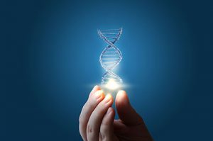 Reverse Aging by Smoothing Out Wrinkles in Cells